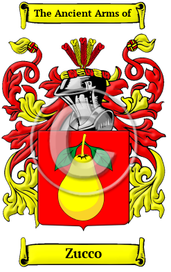 Zucco Family Crest/Coat of Arms