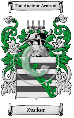 Zucker Family Crest/Coat of Arms