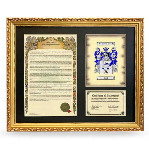 Assi Framed Surname History and Coat of Arms- Gold