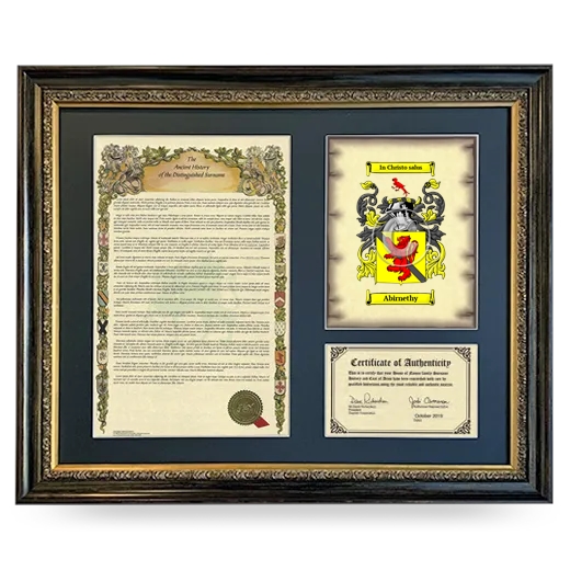 Abirnethy Framed Surname History and Coat of Arms- Heirloom