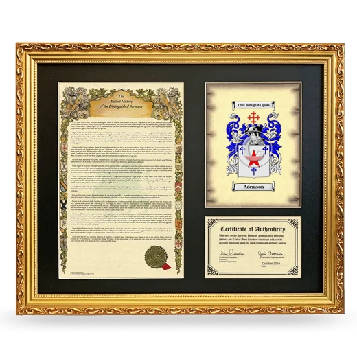 Ademson Framed Surname History and Coat of Arms- Gold