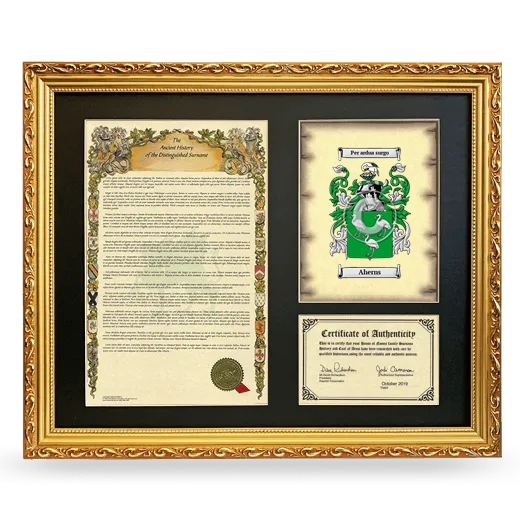 Aherns Framed Surname History and Coat of Arms- Gold