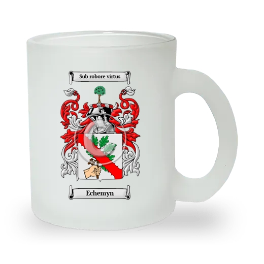 Echemyn Frosted Glass Mug