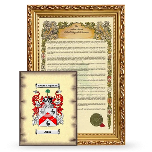 Aikin Framed History and Coat of Arms Print - Gold