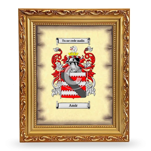 Amir Coat of Arms Framed - Gold