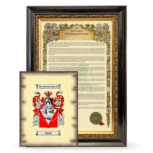 Amay Framed History and Coat of Arms Print - Heirloom