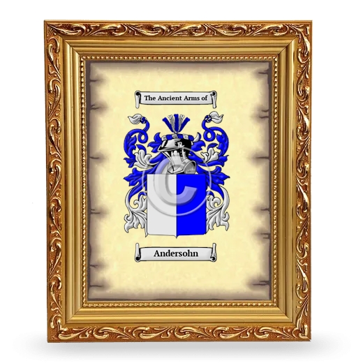 Andersohn Coat of Arms Framed - Gold