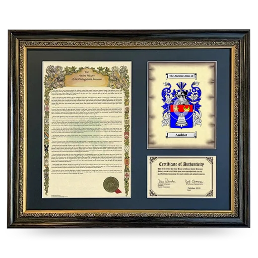 Andriot Framed Surname History and Coat of Arms- Heirloom