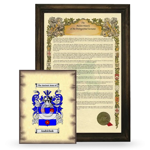 Andrichuk Framed History and Coat of Arms Print - Brown