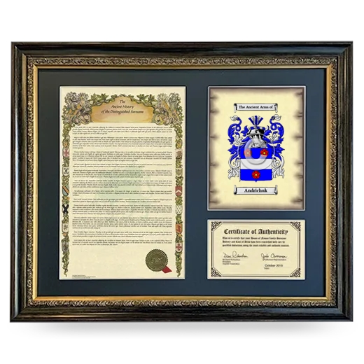 Andrichuk Framed Surname History and Coat of Arms- Heirloom