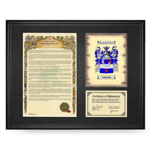 Androsiuk Framed Surname History and Coat of Arms - Black