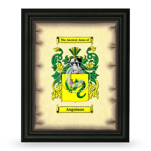 Anguiano Coat of Arms Framed - Black