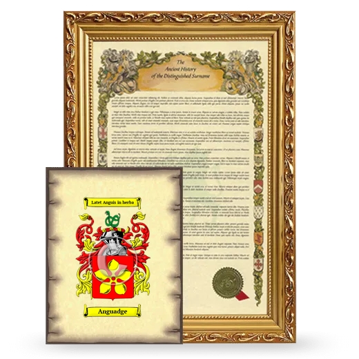 Anguadge Framed History and Coat of Arms Print - Gold