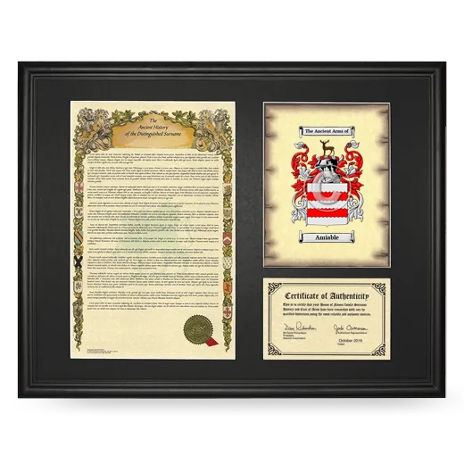 Amiable Framed Surname History and Coat of Arms - Black