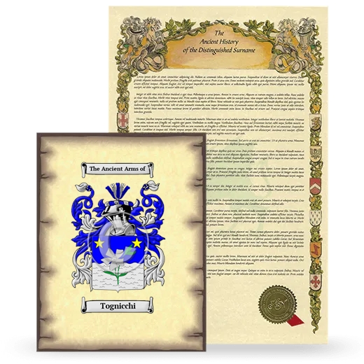 Tognicchi Coat of Arms and Surname History Package