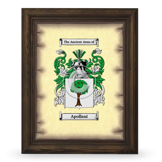 Apollani Coat of Arms Framed - Brown