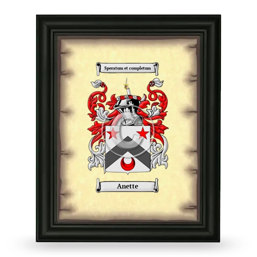 Anette Coat of Arms Framed - Black