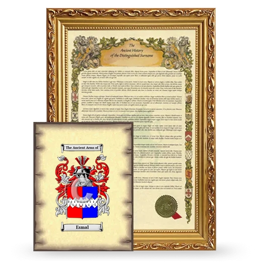 Esmal Framed History and Coat of Arms Print - Gold