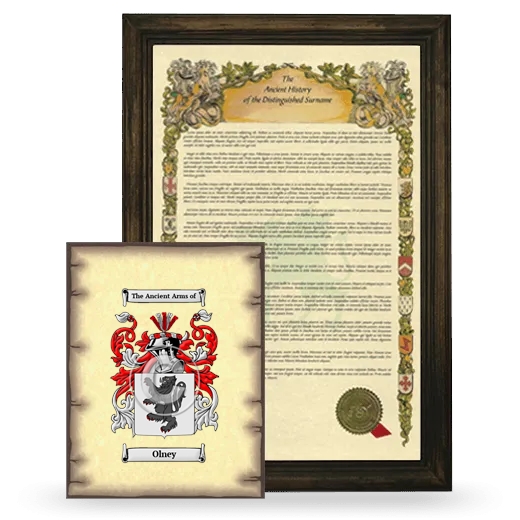 Olney Framed History and Coat of Arms Print - Brown