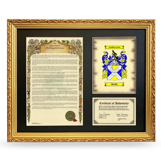 Bachis Framed Surname History and Coat of Arms- Gold