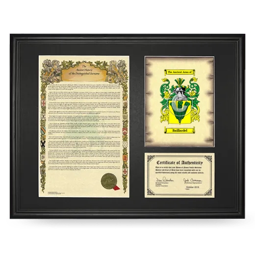 Baillardel Framed Surname History and Coat of Arms - Black