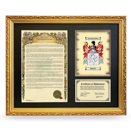 Barette Framed Surname History and Coat of Arms- Gold