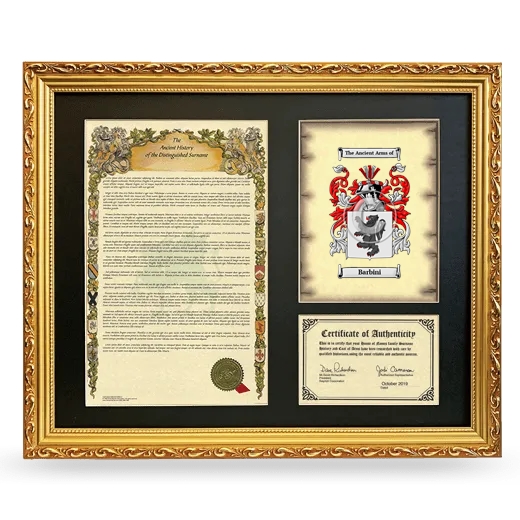 Barbini Framed Surname History and Coat of Arms- Gold