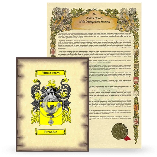 Birnabie Coat of Arms and Surname History Package