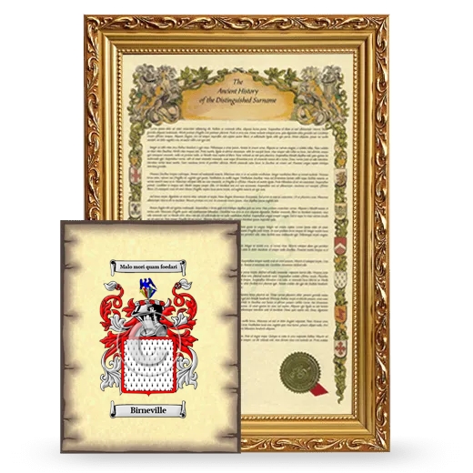 Birneville Framed History and Coat of Arms Print - Gold