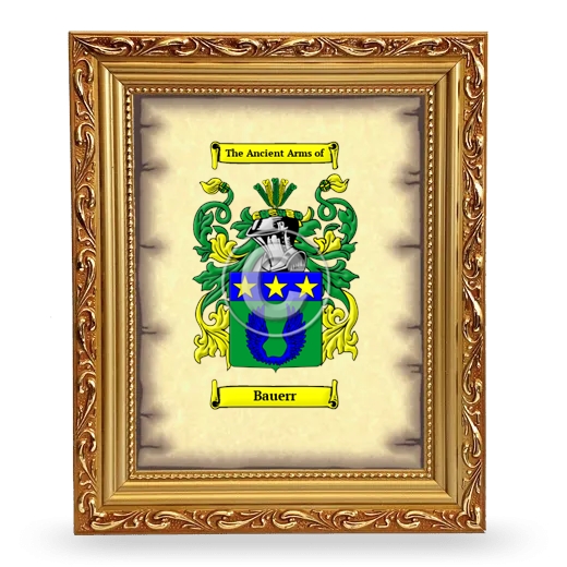 Bauerr Coat of Arms Framed - Gold