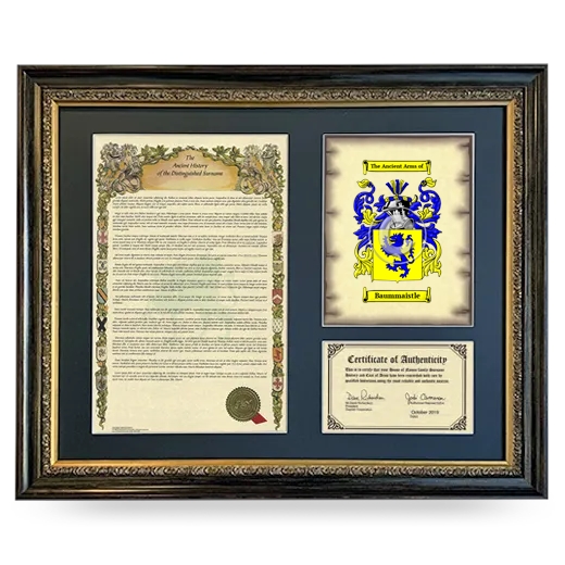 Baummaistle Framed Surname History and Coat of Arms- Heirloom