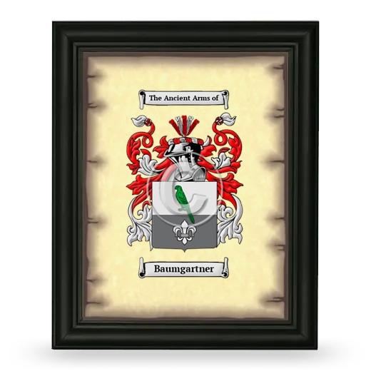 Baumgartner Coat of Arms Framed - Black