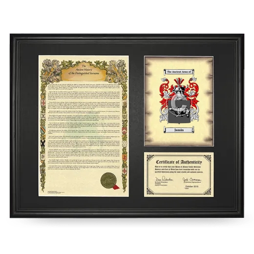 Jamin Framed Surname History and Coat of Arms - Black