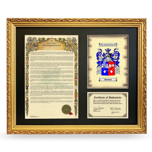 Baerenz Framed Surname History and Coat of Arms- Gold