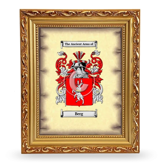 Berg Coat of Arms Framed - Gold