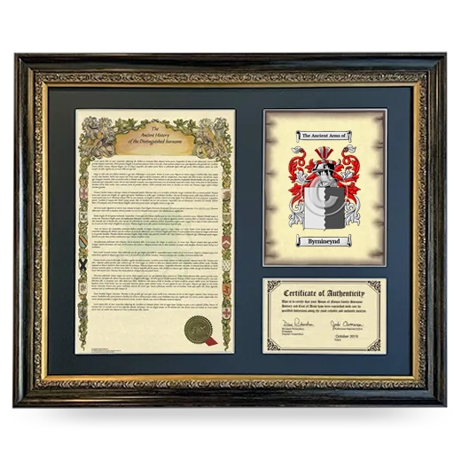 Byrnineynd Framed Surname History and Coat of Arms- Heirloom