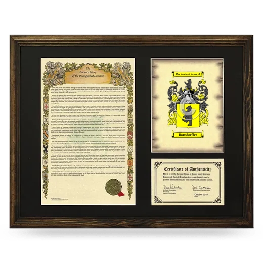 Barndorffer Framed Surname History and Coat of Arms - Brown