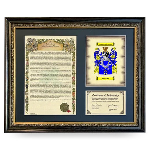 Bevane Framed Surname History and Coat of Arms- Heirloom