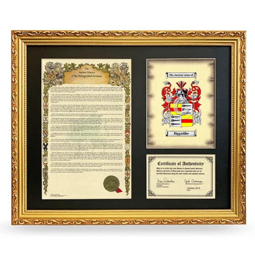 Biggadike Framed Surname History and Coat of Arms- Gold
