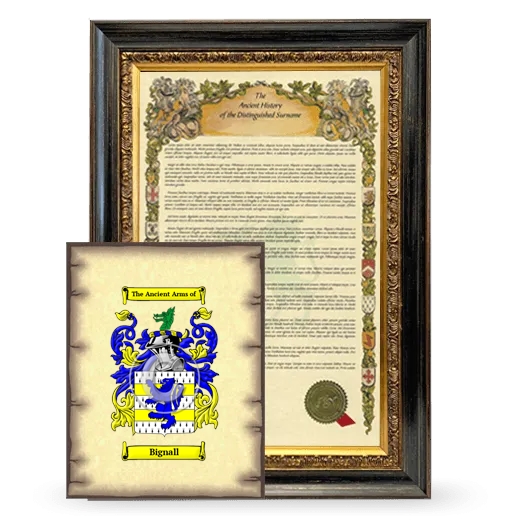 Bignall Framed History and Coat of Arms Print - Heirloom
