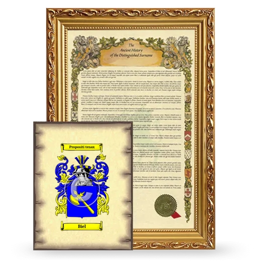 Biel Framed History and Coat of Arms Print - Gold
