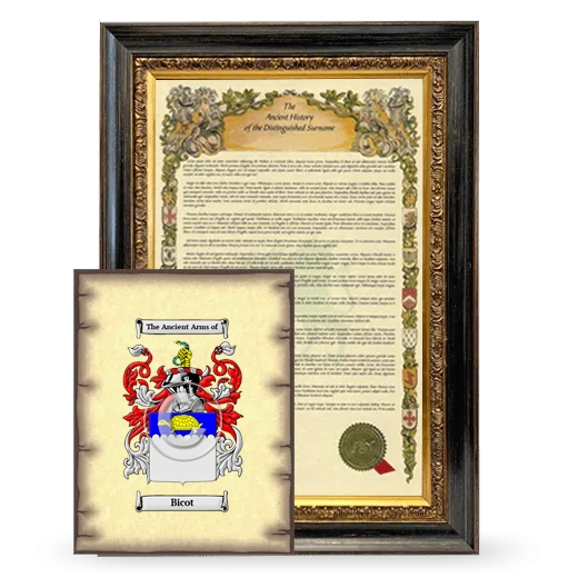 Bicot Framed History and Coat of Arms Print - Heirloom