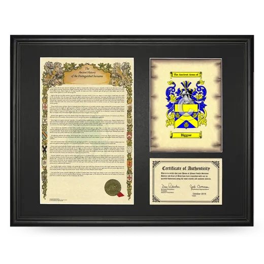 Biggoe Framed Surname History and Coat of Arms - Black