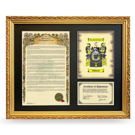 Birkhead Framed Surname History and Coat of Arms- Gold