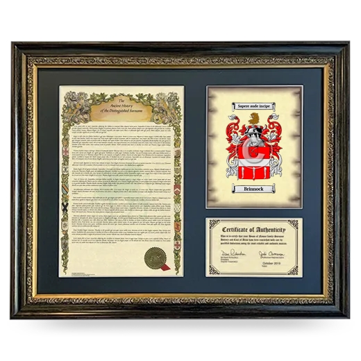 Brinnock Framed Surname History and Coat of Arms- Heirloom