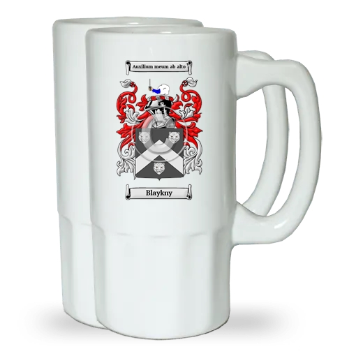 Blaykny Pair of Beer Steins