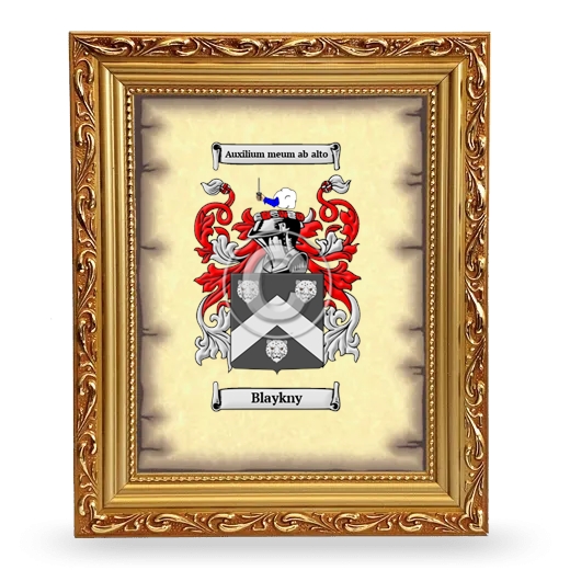 Blaykny Coat of Arms Framed - Gold