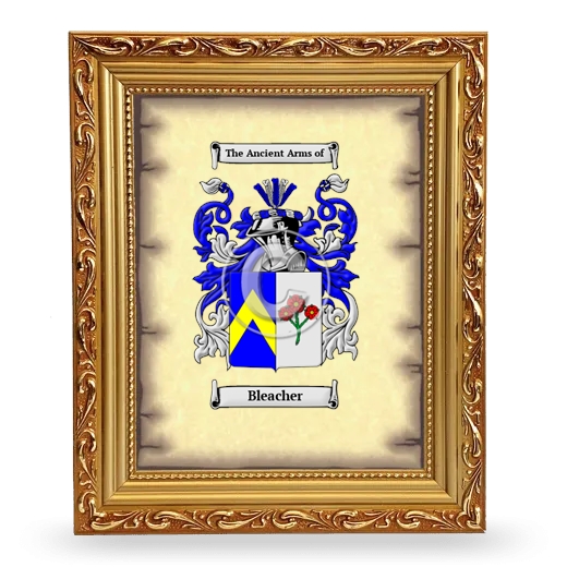 Bleacher Coat of Arms Framed - Gold