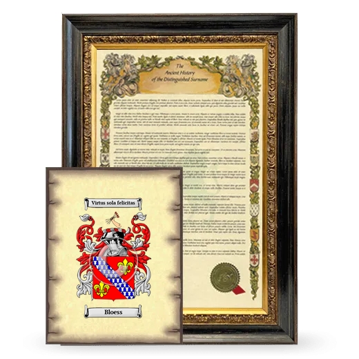 Bloess Framed History and Coat of Arms Print - Heirloom