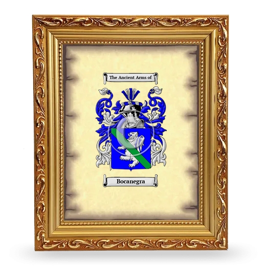 Bocanegra Coat of Arms Framed - Gold